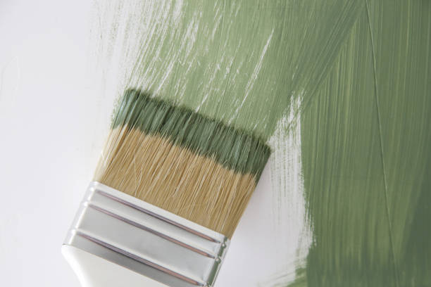Best Mold Remediation for Healthcare Facilities  in Tulia, TX