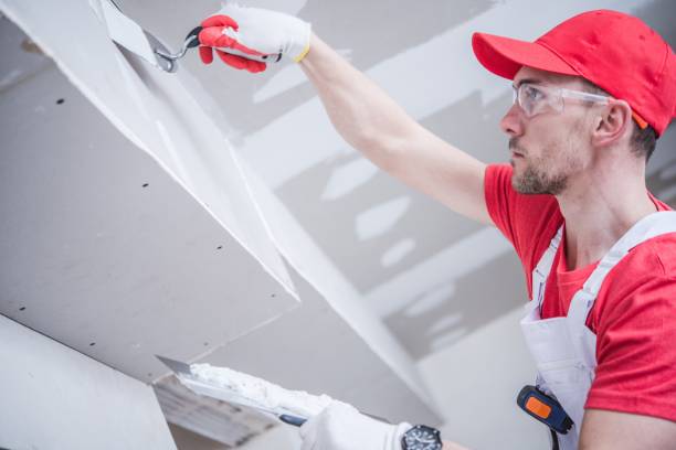 Best Emergency Mold Remediation  in Tulia, TX
